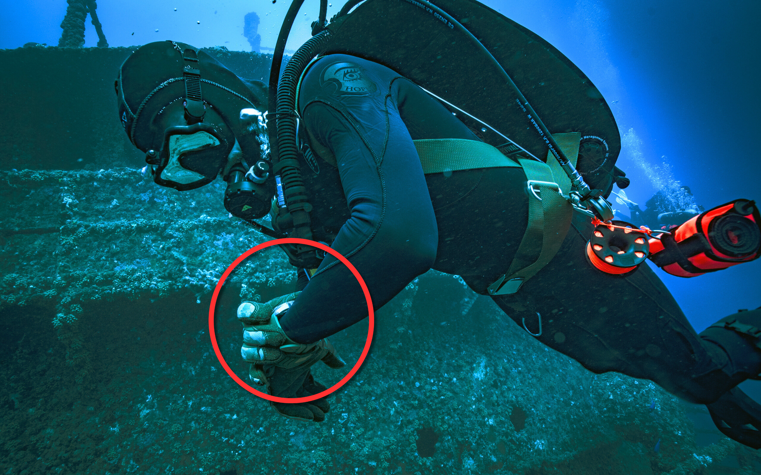 Professional Diver Explains How To Use A Dive Watch